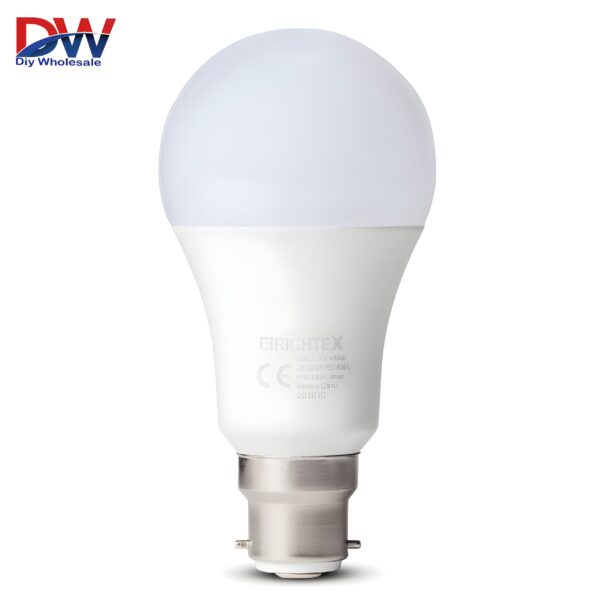 LED Bulb B22
